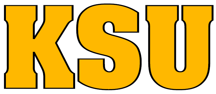 Kennesaw State Owls 0-2011 Wordmark Logo iron on transfers for T-shirts